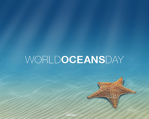 8 جون کو سمندروں کا عالمی دن منایا جائے گا