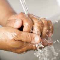 food safety handwashing