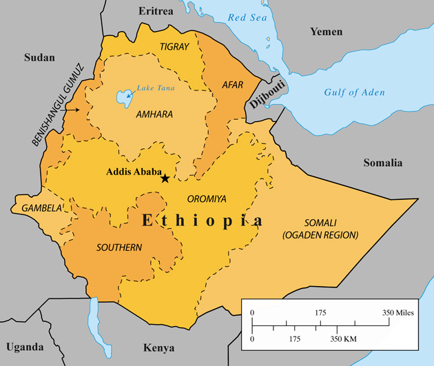 ایتھوپیا کی حکومت نے 9 صحافیوں پر دہشت گردی کی فردجرم عائد کر دی