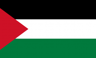 میرا فلسطین لہو لہو