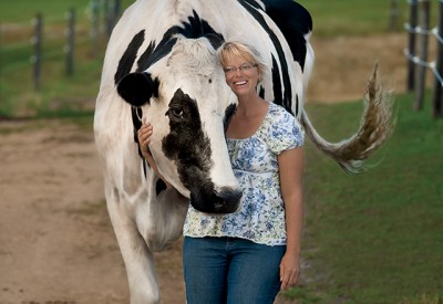 6ft 4in cow - the tallest in the world