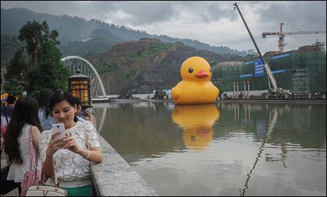 دنیا کے کئی ملکوں کا سفر کرکے دیوہیکل بطخ چین پہنچ گئی