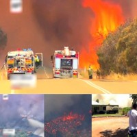 Australia Forests Fire