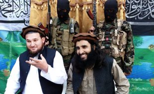 داعش اور تحریک طالبان کی حقیقت