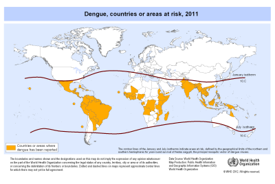 Dengue Risk Global