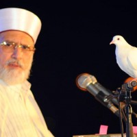 Dr Tahir-ul-Qadri