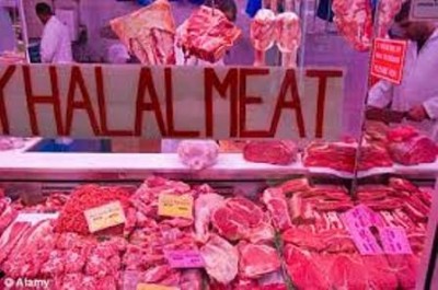 Halal Food 