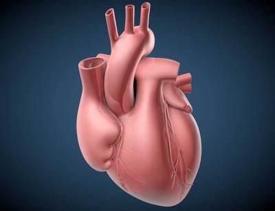 Heart repair Technology