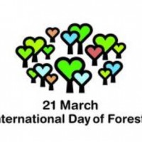 International Forests Day