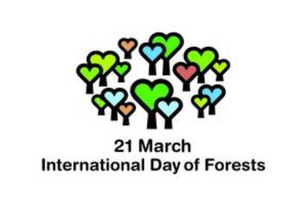 عالمی یوم جنگلات کے موقع پر گزارش !