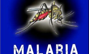ملیریا کو شکست