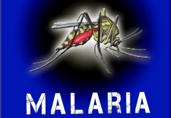 ملیریا کو شکست