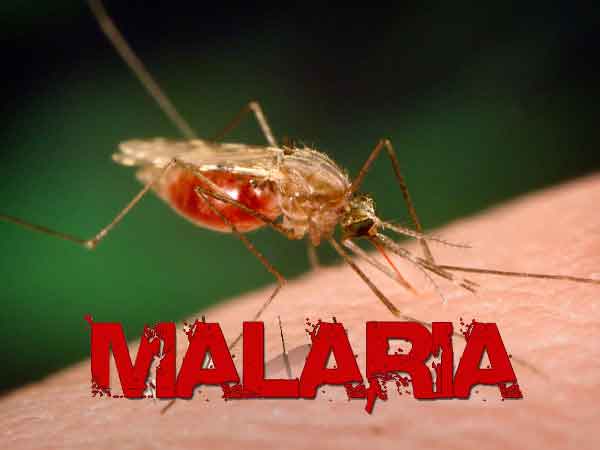 ملیریا کی علامات، احتیاطی تدابیر اور سستا علاج