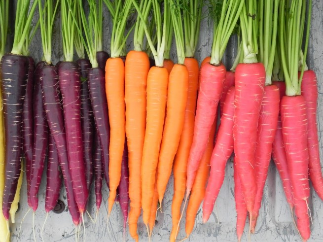 Carrot Nutri Red Sugarsnax Purplesnax