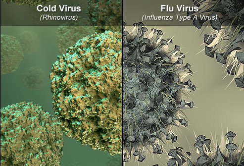پاکستان میں فلو وائرس