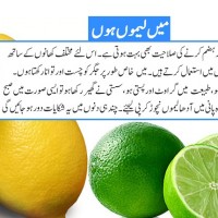 Lemon and Limes