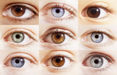 Types of Eye Color