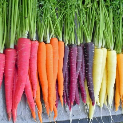 carrot colour mix
