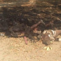 Muslim Children Were Burnt Alive In Meiktila – Burma