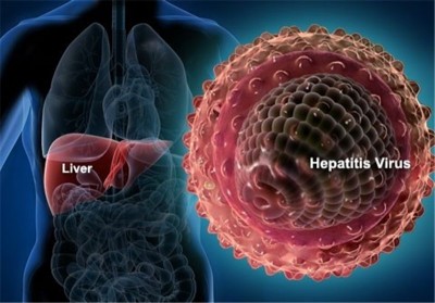 Hepatitis Virus and Liver