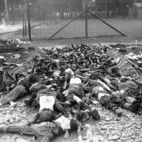 World War II - The Holocaust