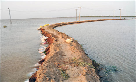 دریائے سندھ کے سیلابی ریلے نے سندھ میں تباہی مچا دی