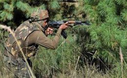 سیالکوٹ : بھارتی فوج کی بلااشتعال فائرنگ،رینجرز کا بھرپور جواب