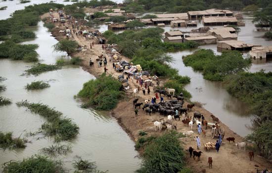 دریائے سندھ کے سیلابی ریلے نے سندھ میں خطرے کی گھنٹی بجا دی
