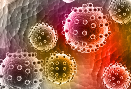 برازیل کے محکمہ صحت کی مچھروں کے ذریعے زیکا وائرس کی تصدیق