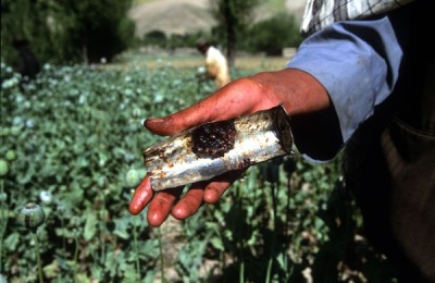 Drug Trafficking in Afghanistan 