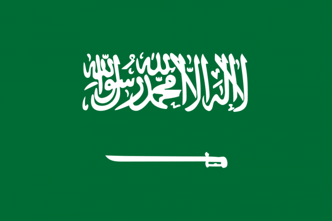 امریکہ بشار الاسد حکومت کے خلاف فضائی کارروائی کرے: سعودی عرب