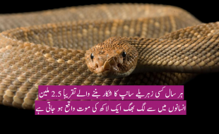 سانپ کا عالمی دن ، سینکڑوں قسم کے سانپوں میں سے چند ہی زہریلے