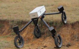 آسٹریلوی انجینئروں نے دنیا کا پہلا چرواہا روبوٹ تیار کرلیا