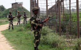 گوئی سیکٹر میں بھارتی فورسز کی فائرنگ سے 2 افراد شہید