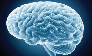 تاریخ کا سب سے بڑا سائنسی کارنامہ، انسانی دماغ 100 فیصد تک استعمال کرنیکی دوا تیار