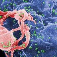 Science HIV