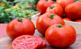 ٹماٹر کا استعمال کینسر سمیت 6 خطرناک بیماریوں سے بچاتا ہے، ماہرین