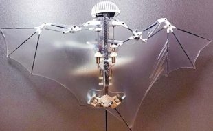 امریکی انجینئرز نے چمگادڑ نما روبوٹ تیار کر لیا
