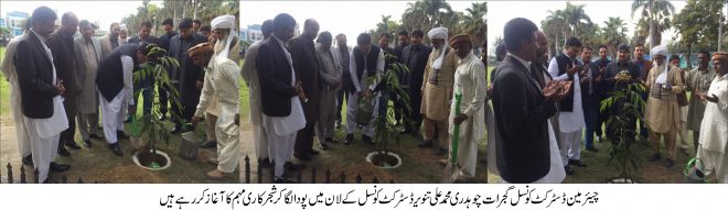 چوہدری محمد علی نے ڈسٹرکٹ کونسل کے لان میں پودا لگا کر شجرکاری مہم کا آغاز کر دیا