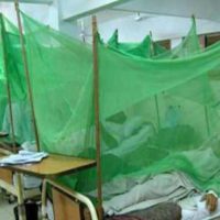Dengue Patients