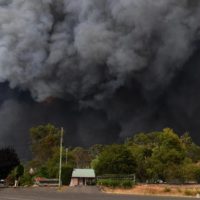 Australia Forest Fire