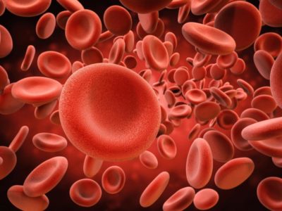 Blood Cells