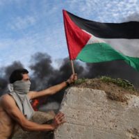 Palestinians Solidarity