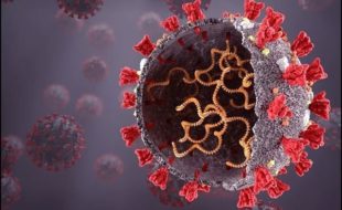 صرف ایک سیکنڈ کا بلند درجہ حرارت کورونا وائرس کو ختم کر سکتا ہے
