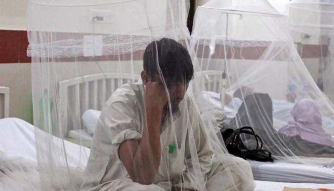 پنجاب میں ڈینگی وائرس بھی سر اٹھانے لگا