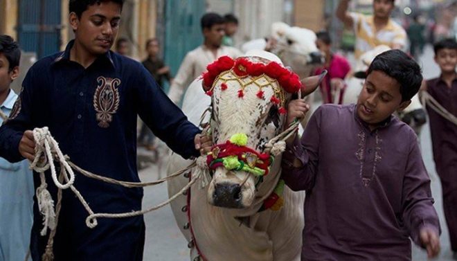 ملک بھر میں آج عید الاضحیٰ مذہبی جوش و جذبے کیساتھ منائی جا رہی ہے