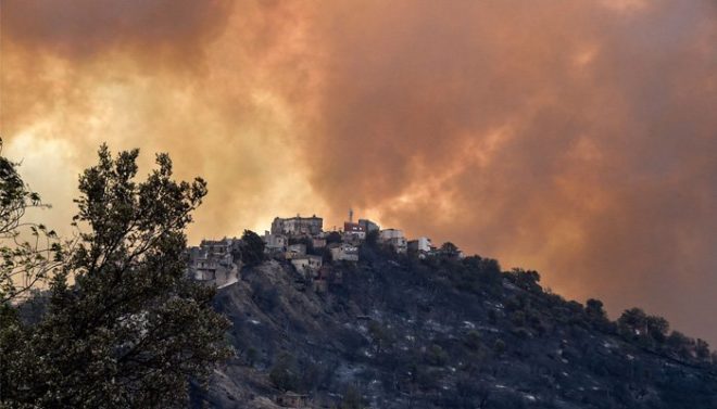 الجزائر میں جنگلاتی آگ سے اموات کی تعداد 65 ہو گئی