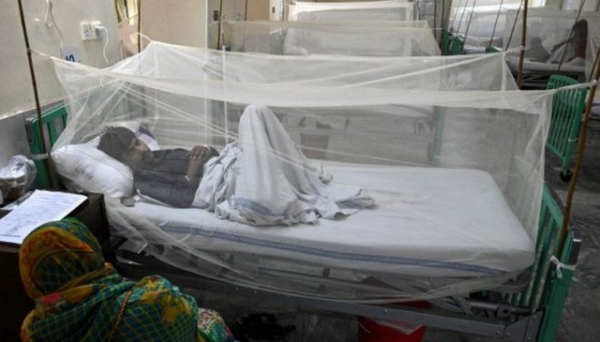 پنجاب اور پختونخوا میں ڈینگی کے مریضوں کی تعداد میں مسلسل اضافہ