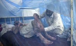 پشاور میں ڈینگی کے مریضوں کی تعداد میں اضافے کیساتھ ادویات بھی مہنگی ہو گئیں