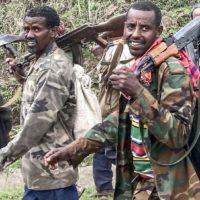 Ethiopia Ceasefire